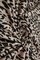 1 Yard Leopard Animal Print DTY Brushed Fabric Soft Stretch Polyester Spandex 58/60 Inch Wide